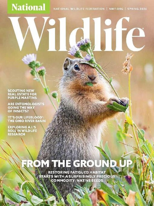 Title details for National Wildlife by National Wildlife Federation - Available